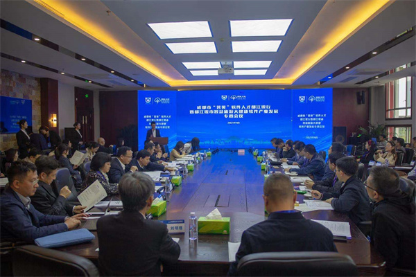 共筑新格局 共建经济圈——成都市“蓉贝”软件人才走进都江堰
