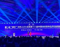乘势而上谋超越 成都软件产业高质量发展风头正劲