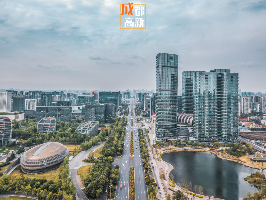 2019年软件和信息技术服务业统计年报